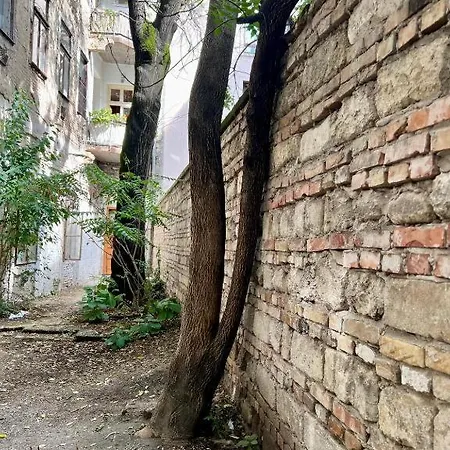 Szelenyi Budapešť