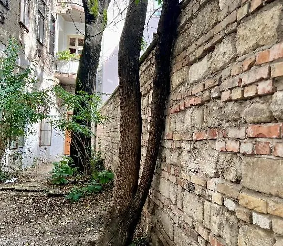 Szelenyi Budapeste