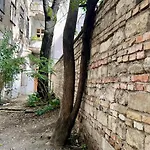 Szelenyi Budapeşte